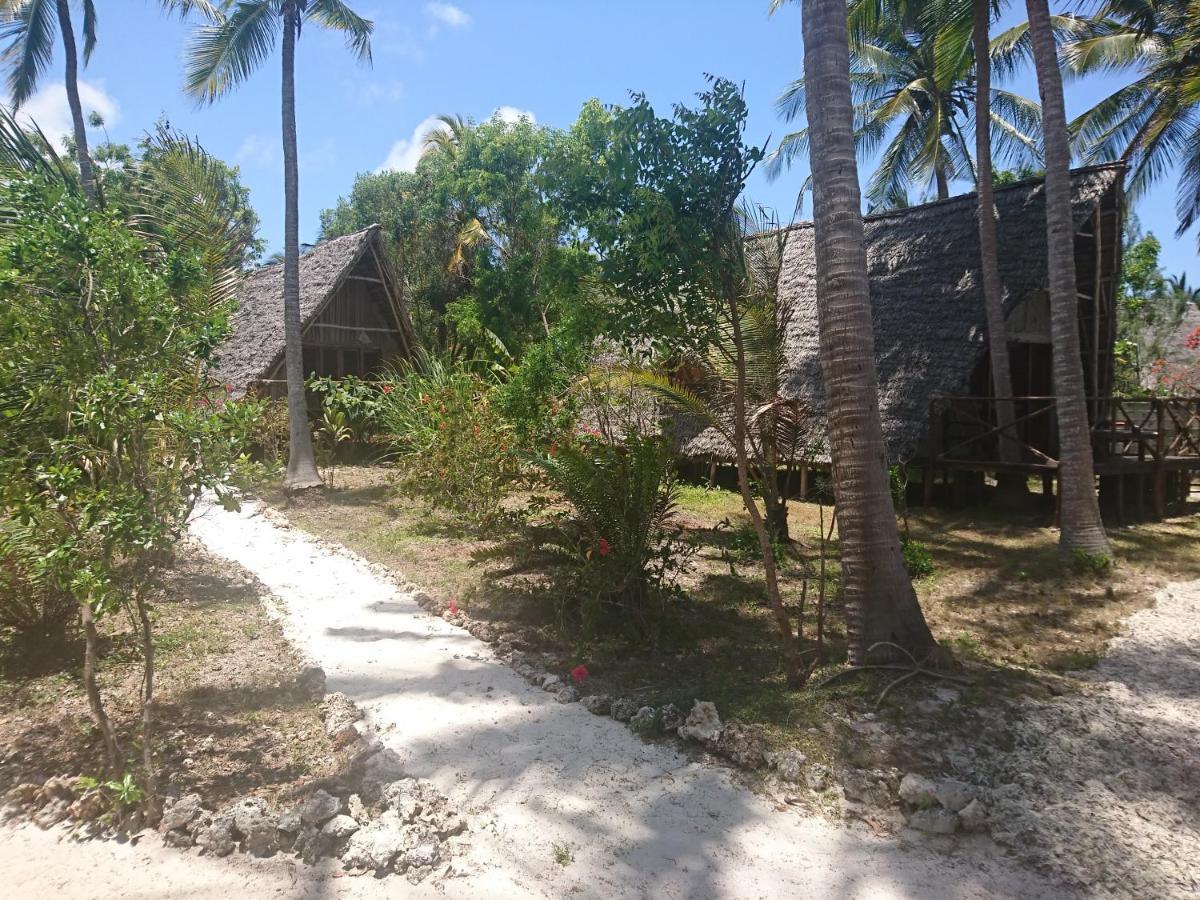 Coco Reef Ecolodge Kizimkazi Exterior foto