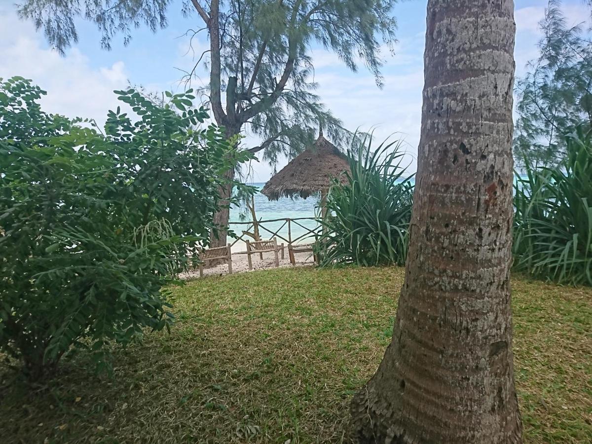 Coco Reef Ecolodge Kizimkazi Exterior foto